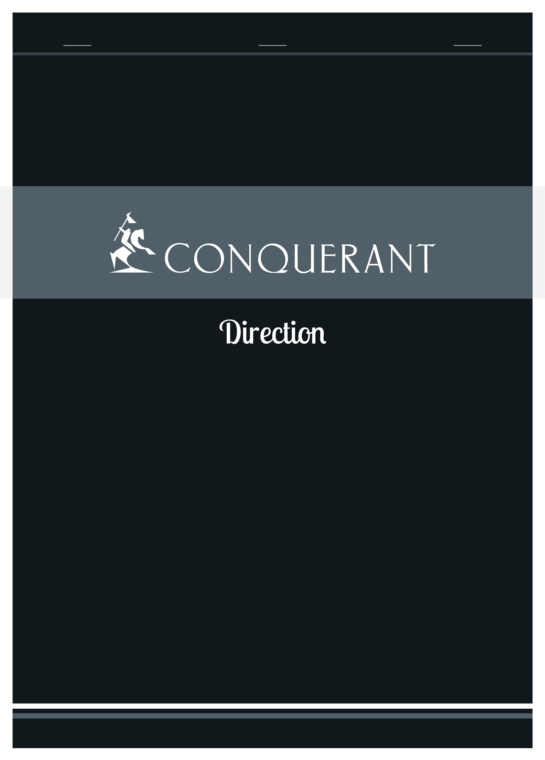 Hamelin 001 Lot de 20 Bloc-Notes Direction A4 Petits Carreaux 5mm 200 Pages Agrafées Tête Couverture Carte Gris
