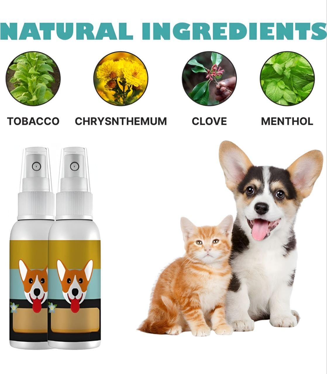 Puppy Dog Potty Training Spray 100ml | Eliminates Marking | Trains Pets Where to Urinate and Poop | Puppy & Cat Toilet Training Spray for Indoor & Outdoor Use (Pack of 4) 3