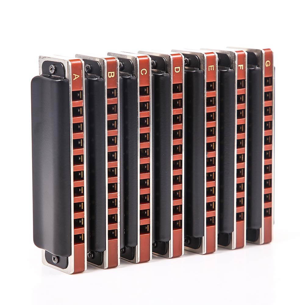 Easttop Diatonic Blues Harmonica 10 fori Blues Harmonica 20 toni 008K con custodia, più professionale armonica per principianti, studenti, adulti e giocatori professionisti (ABCDEFG-7Keys)