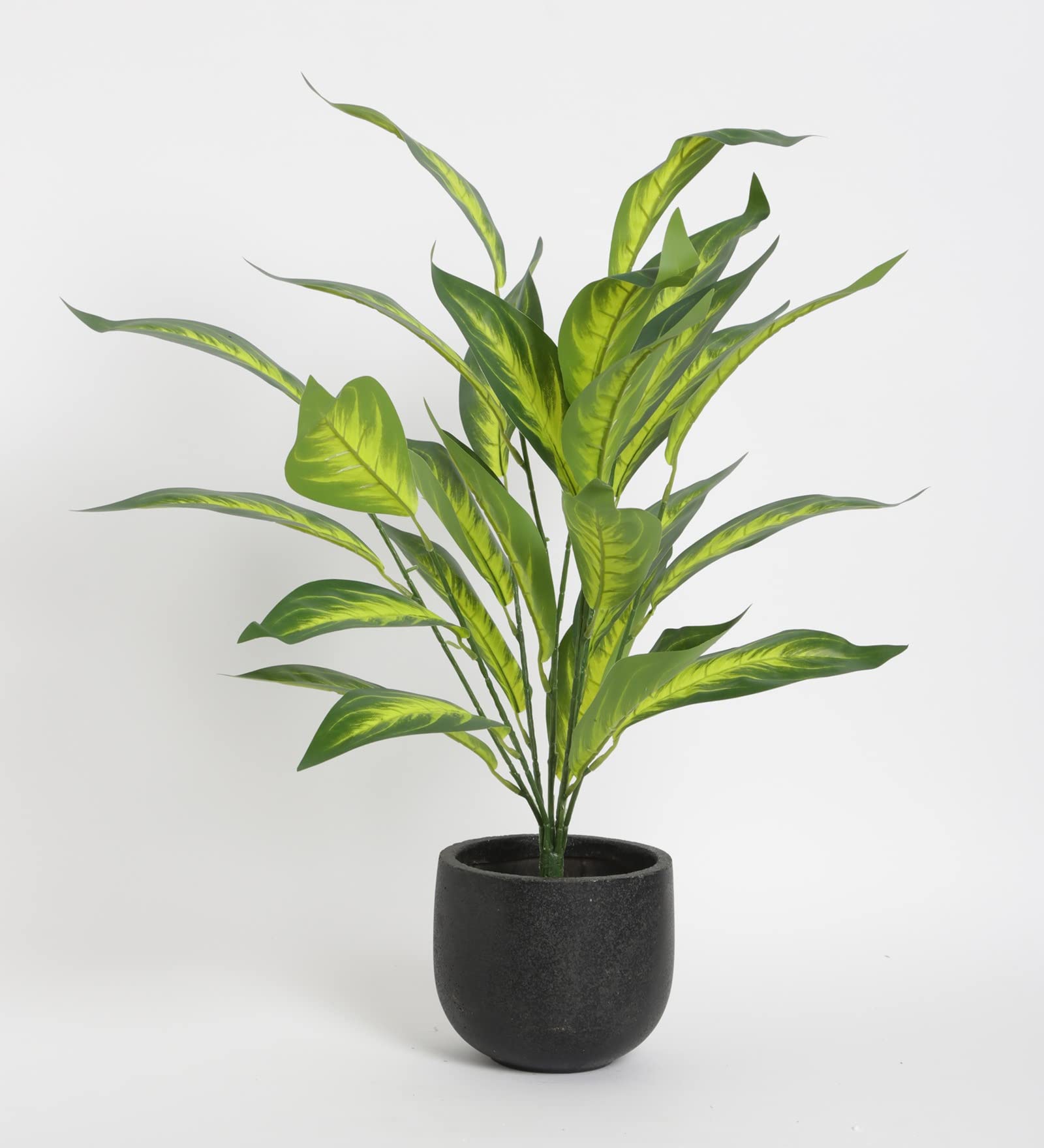 Home Bloom Decorative Artificial Red Snake Tree Tropical Fake Plants for Home Garden Outdoor Indoor Decoration (Without Pot, 70 cm Tall) (Dieffenbachia) (B0CS3HSZ8M) Amazon Price History, Amazon Price Tracker