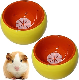 Tfwadmx 2 Pcs Hamster Food Bowl, Small Animals Ceramic Feeding Water Dish for Guinea Pig Rat Hedgehog Rabbit Gerbil Mouse ...