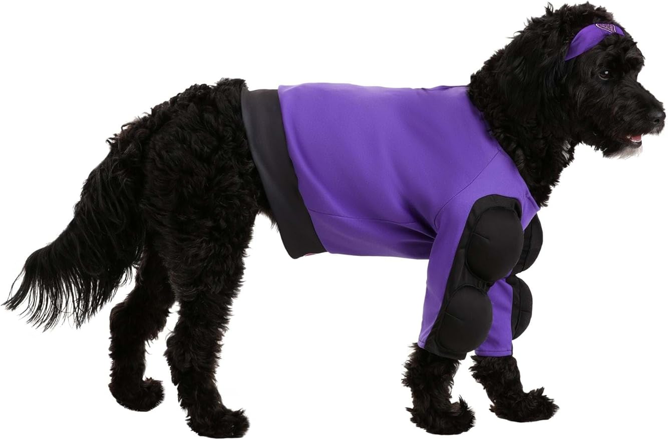 Disfraz Globo Gym Purple Cobra para Perro con Camiseta y Banda XL miniatura 5