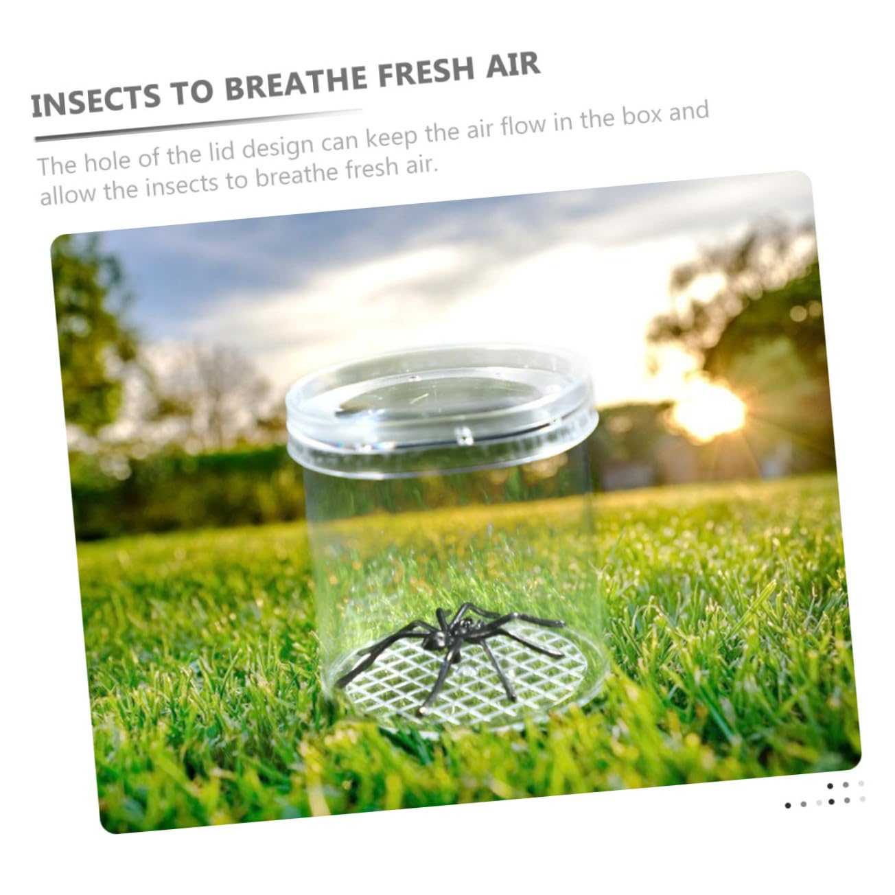 TOYANDONA 9 piezas Caja para Insectos Portátil con Contenedores Multiusos para Observar y Criar Insectos Caja Plástica y Educativa para Exteriores