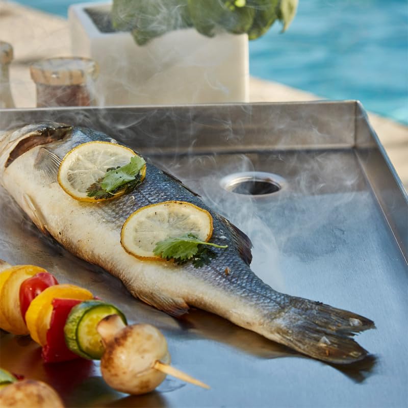 BRASERO BY FAVEX – Plancha gaz Carmen 4 feux – Grande surface – Jusqu'à 12 à 14 convives – Cuisson homogène – Housse incluse