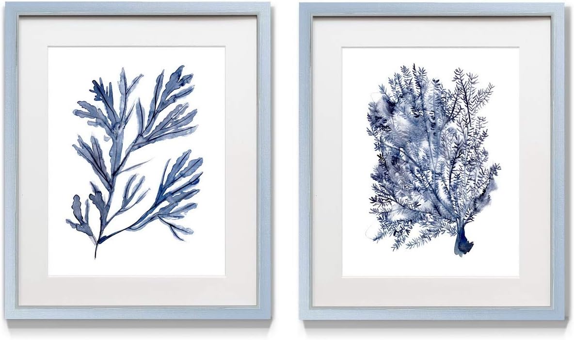 Renditions Gallery Seaweed (1) 2 Framed Artwork Set, Underwater Ocean Themed Pair, Tropical Indigo Blue Vegetation, Modern Silver Frame, White Mat & Plexiglass, 16 in W X 20 in H, Made in America