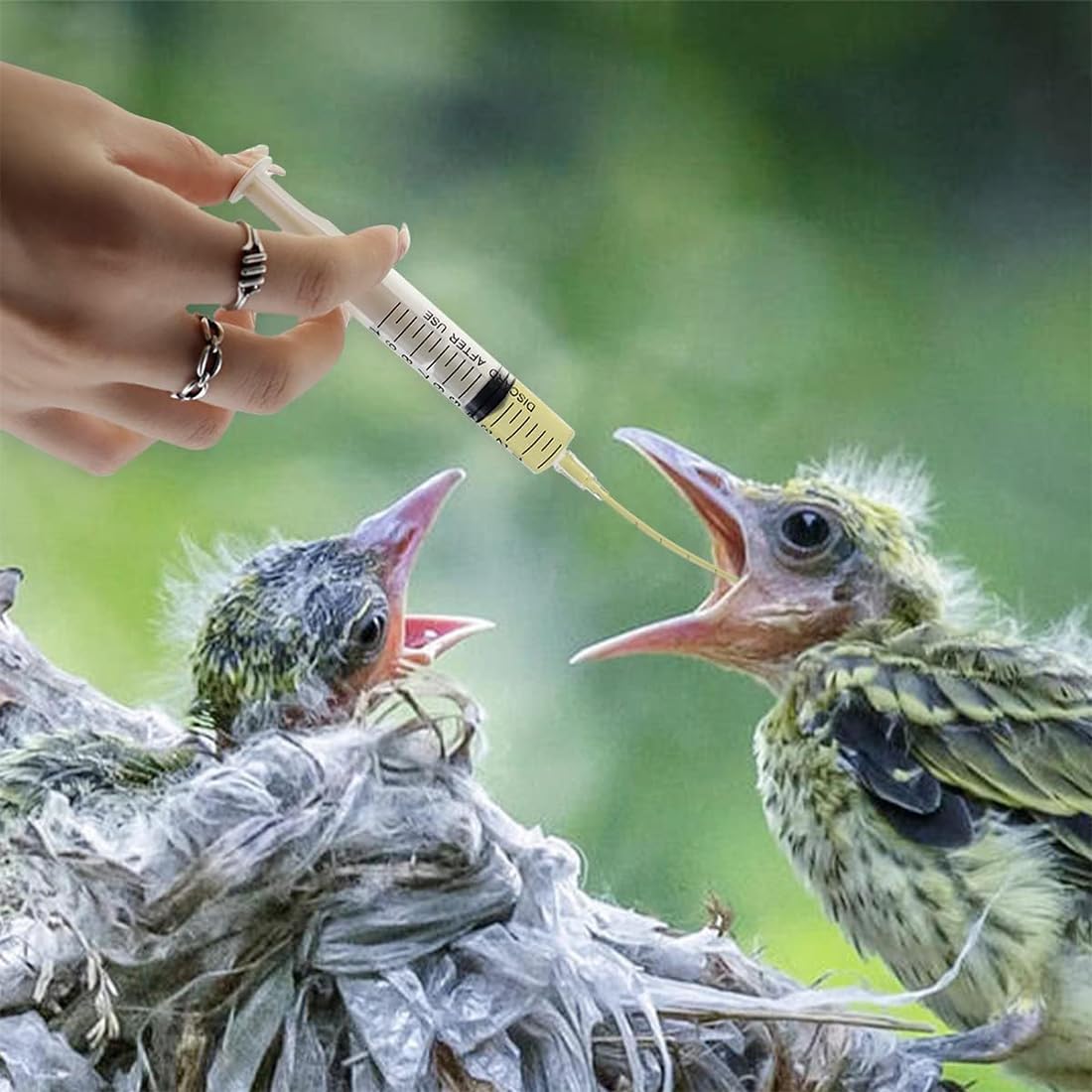 NJCXOLA 10 Pezzi Alimentatore Pappagalli, Inclusa 1 Siringa da 10 ml, Alimentatore Pappagalli Trasparente Uccelli, Alimentazione Tubi Veloce Alimentazione Tubo Siringa per Bambino Pet Uccelli