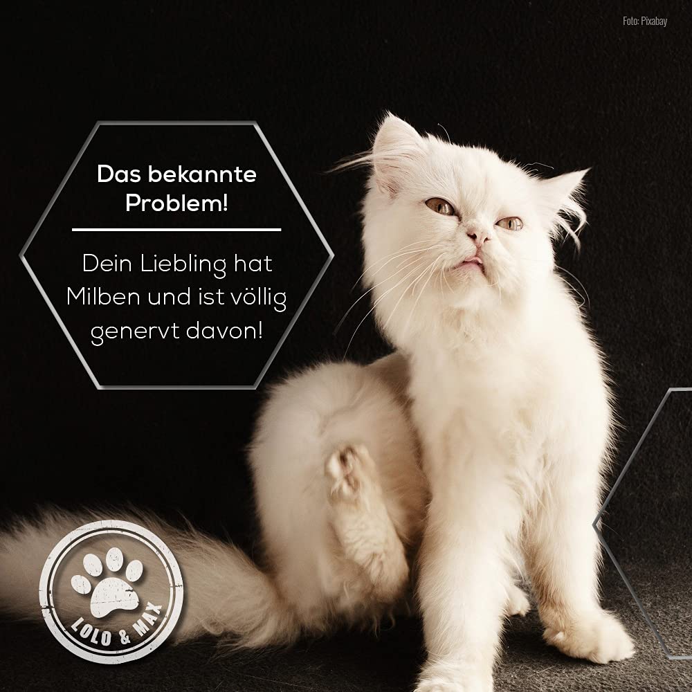 Lolo & Max - Floh- und Zeckenmittel für Katzen 100% Natürlicher Spot On - Bis zu 8 Monate Abwehr & Bekämpfung von Flöhen & Parasiten (Zecken,Milben,Läuse,Haarlinge,Wanzen) - Mittel gegen Flöhe - 40ml