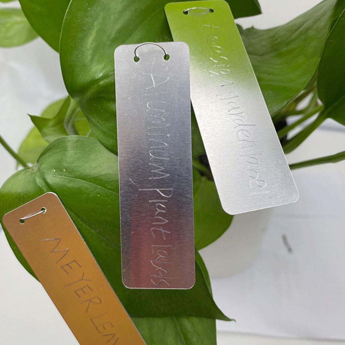 Etichette per Piante in Alluminio Argento, Cartellini da Giardino