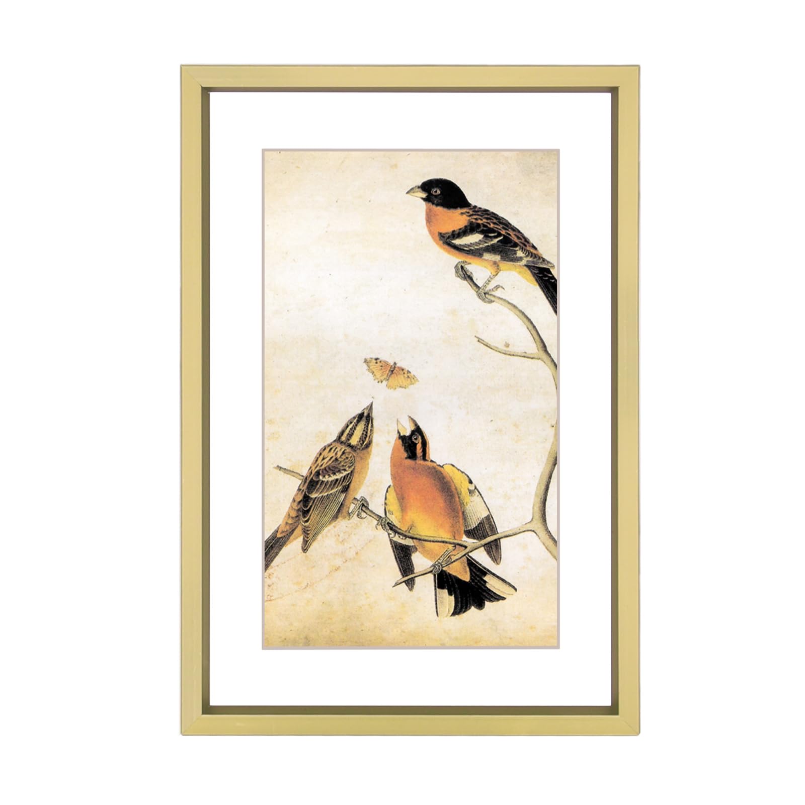BKABOT Brass Aluminum 6x8 Frame
