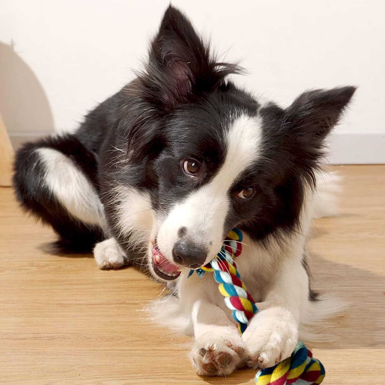 Interaktives Hundespielzeug, Puzzle-Spielzeug, interaktives Hundespielzeug gegen Langeweile (rot und Hundespielzeug)