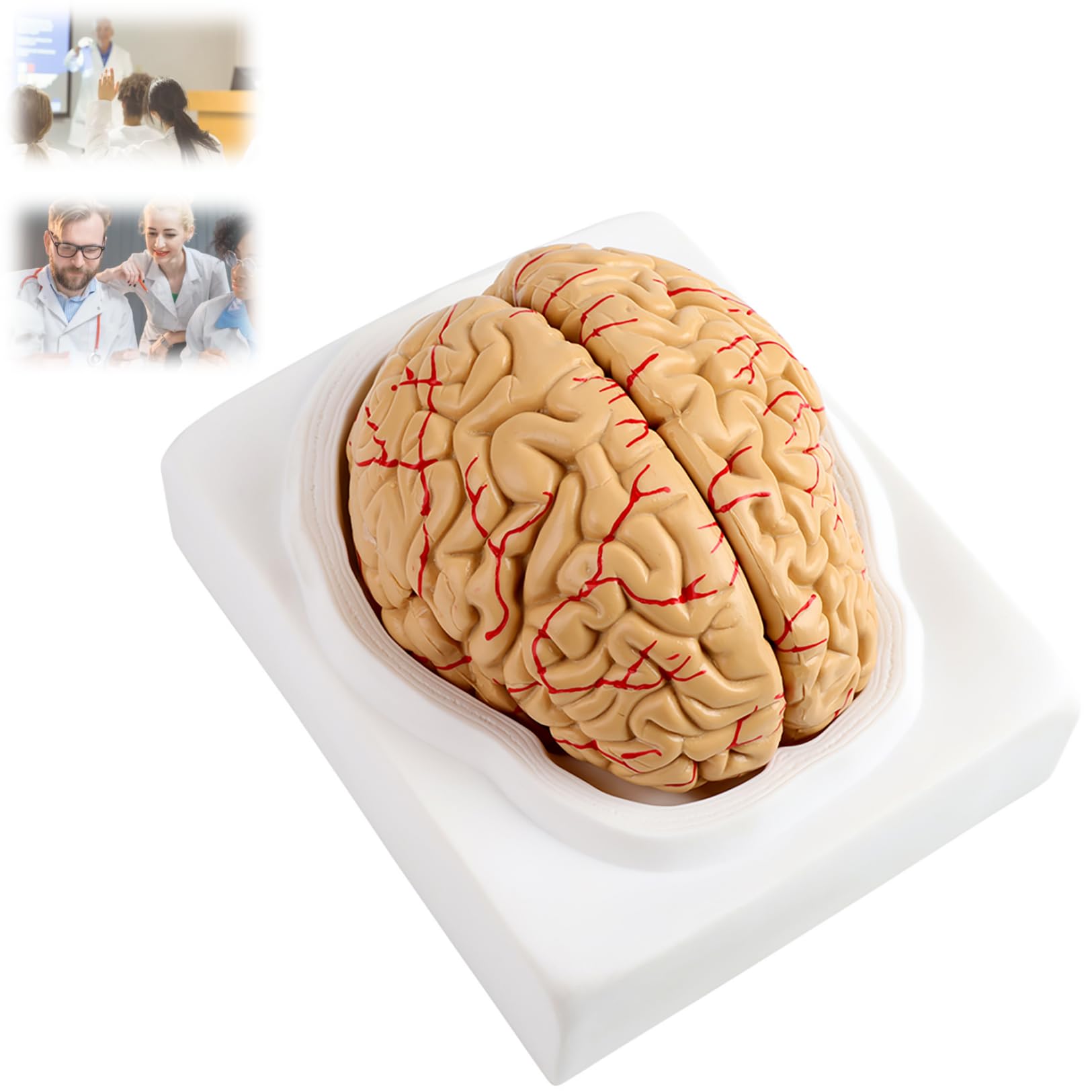 Brain Model 3D Model Futuristic Mechanical Brain Model VR / AR
