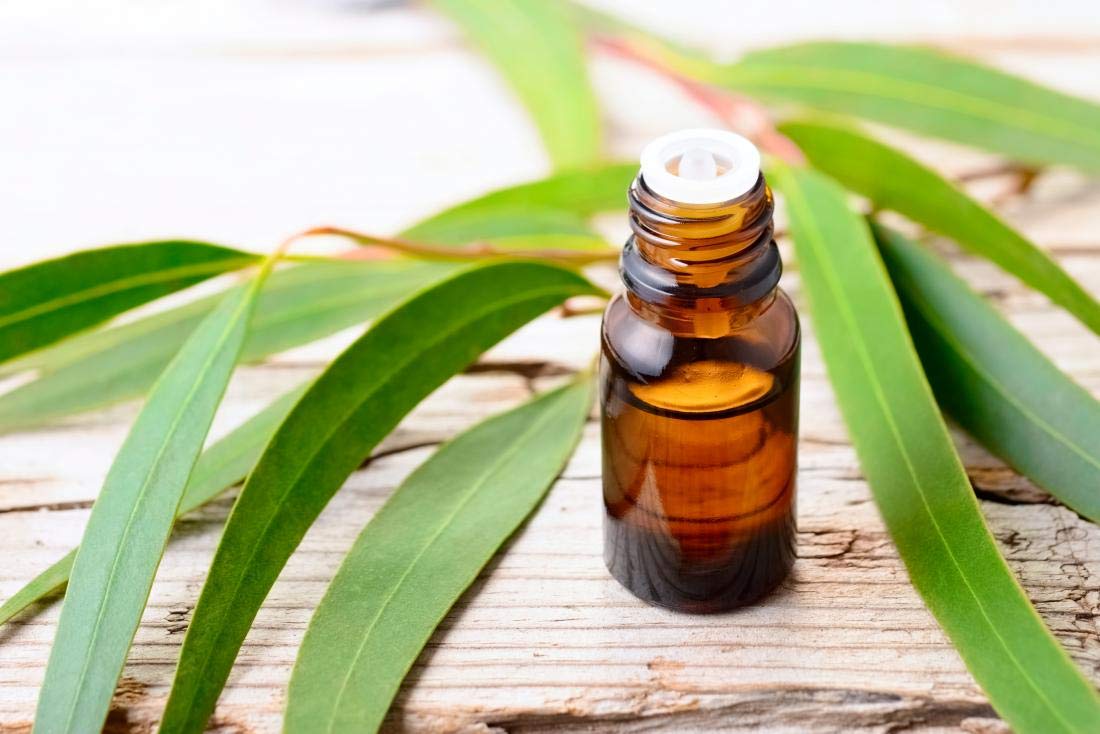 Eucalyptus Essential Oil for Room freshener, Aroma, Skin uses | 100% Pure & Natural Oil (5ml) (B07MNYX3BF) Amazon Price History, Amazon Price Tracker