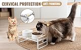 CEEFU Erhöhte Katzennäpfe, verstellbarer erhöhter Katzennapf, Ständer mit 2 Keramiknäpfen für Katzen und Hunde, je 590 ml
