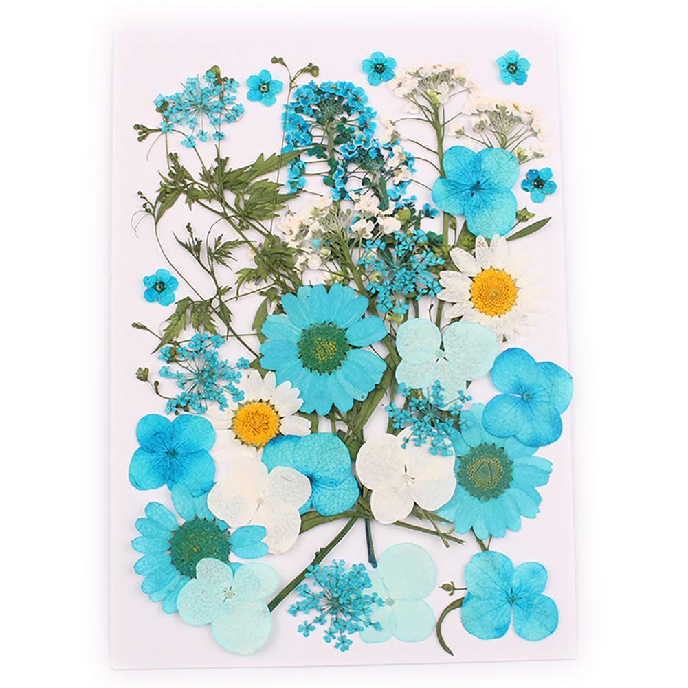 Amazon.com: Natural Dried Flowers Combination DIY Pressed Herbarium Flower  Decorative for Resin Jewelry Crafts Nail Stickers (C) : Arts, Crafts &  Sewing