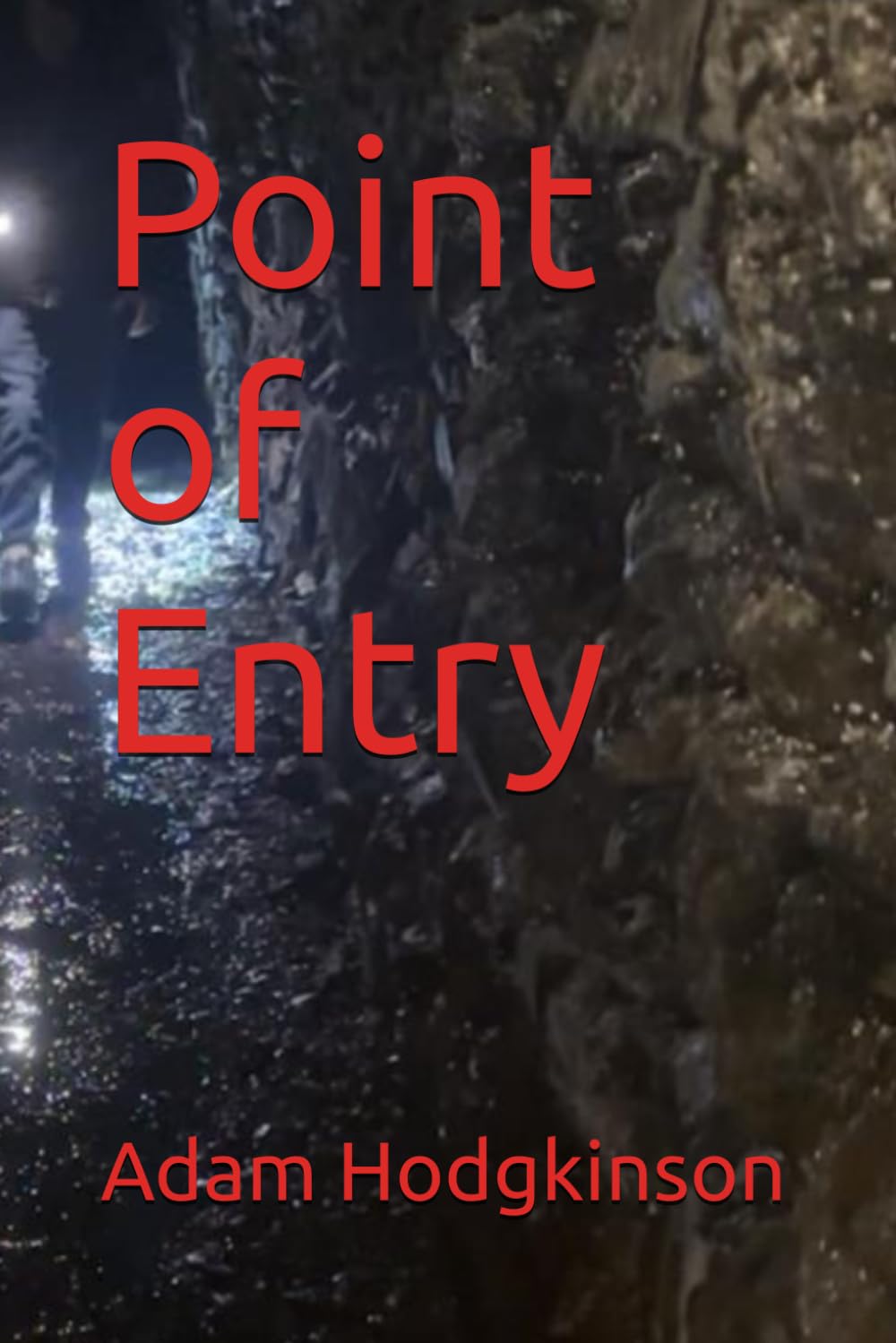 Point of Entry (Lucas Ashton - Point Crime Thriller Series)
