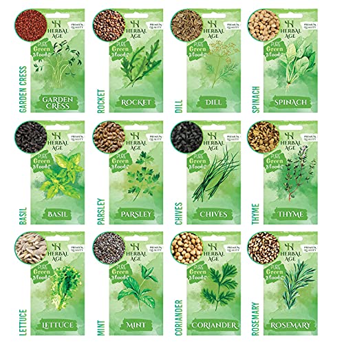 Herbal Age Grow Your Own Herb Garden Kit, 12 Herbs Plants, 8700 Herb Seed Box, Herb Seeds for Planting UK, Salad Leaves, Basil Seeds, Mint, Cress Seeds, Veg Plant Gardening Gift for Men, Women, Kids