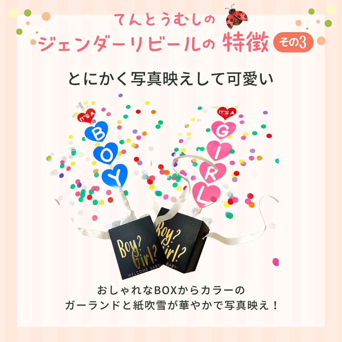 Amazon.co.jp: ジェンダーリビールボックス 【てんとうむしオリジナル