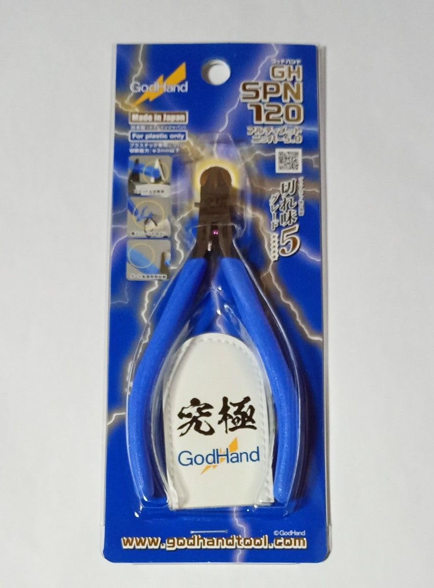 極美株 大苗】パキラ ミルキーウェイ 実生 No14 パキラ ミルキーウェイ