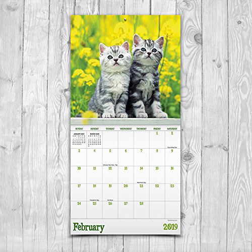 2019 Kittens Mini Calendar #TOP3