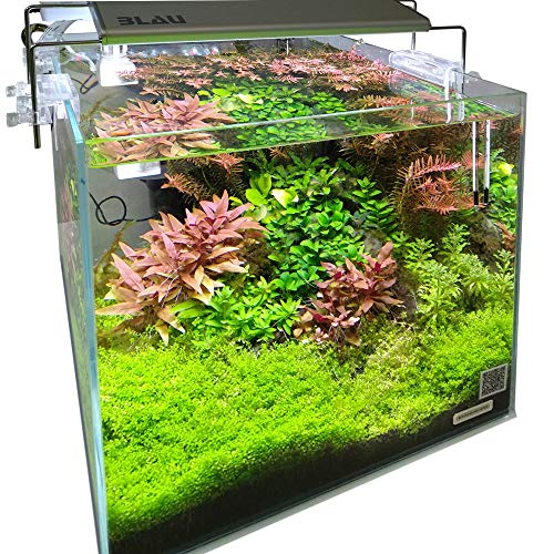 Acuario Blau Aquaristic Cubic 27 transparente con cristal óptico para paisajismo 4