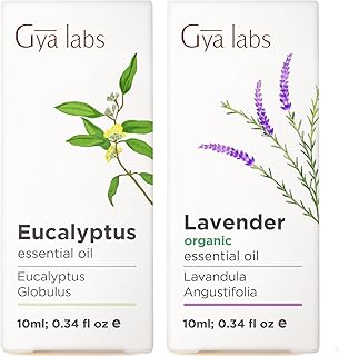 Eucalyptus Essential Oil for Diffuser & Organic Lavender Essential Oil for Diffuser Set - 100% Natural Aromatherapy Grade ...