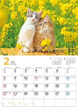 カレンダー2026 もふもふこねこ（月めくり/壁掛け/420mm×297mm