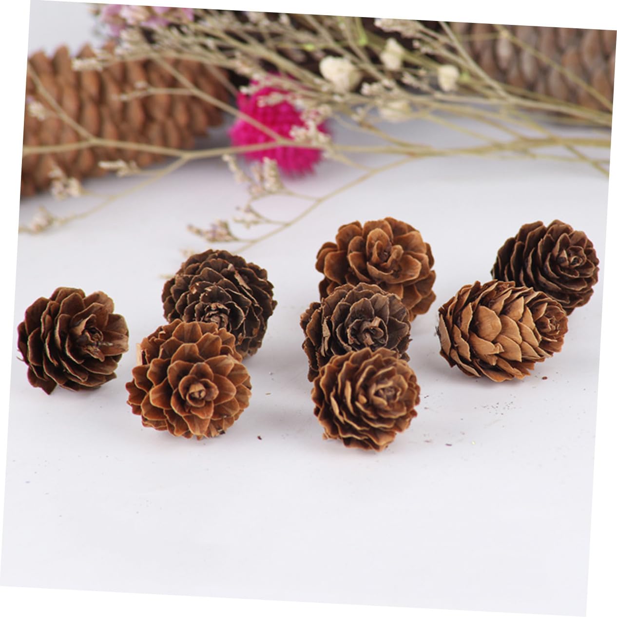 210 Piezas Mini Piñas Naturales para Decoración Navideña y Hogar Rústico Adornos Secos para Manualidades y Otoñal