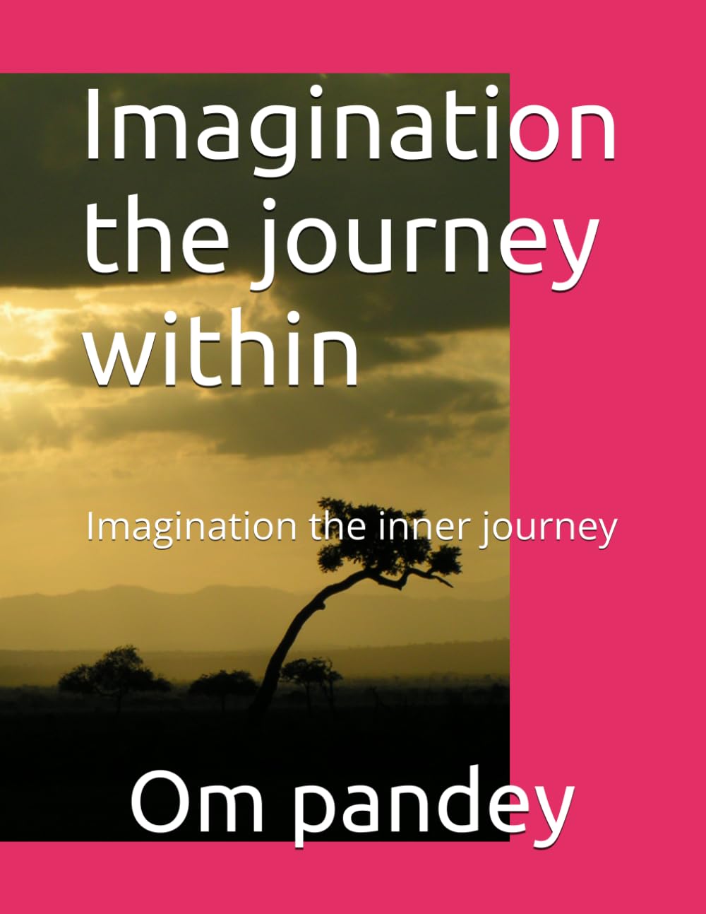 Imagination the journey within: Imagination the inner journey