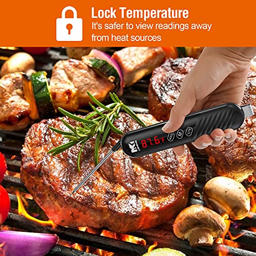 LISHENG Termometro da Cucina,Doppia Sonda