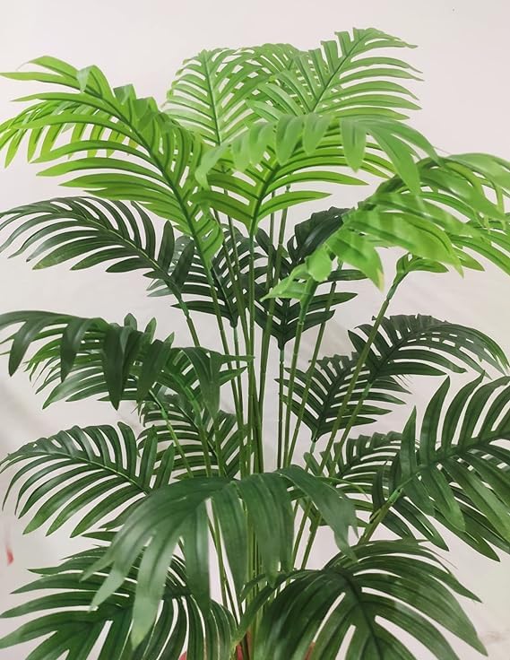 TENDER LEAVES ORIGINAL Areca Palm Indoor Plants for Living Room Live Plants Plants for Home Air purifier plants for Home Decor For Home Farming Pack Of 1 In Grow-Bag. (B0D7QK5MW2) Amazon Price History, Amazon Price Tracker