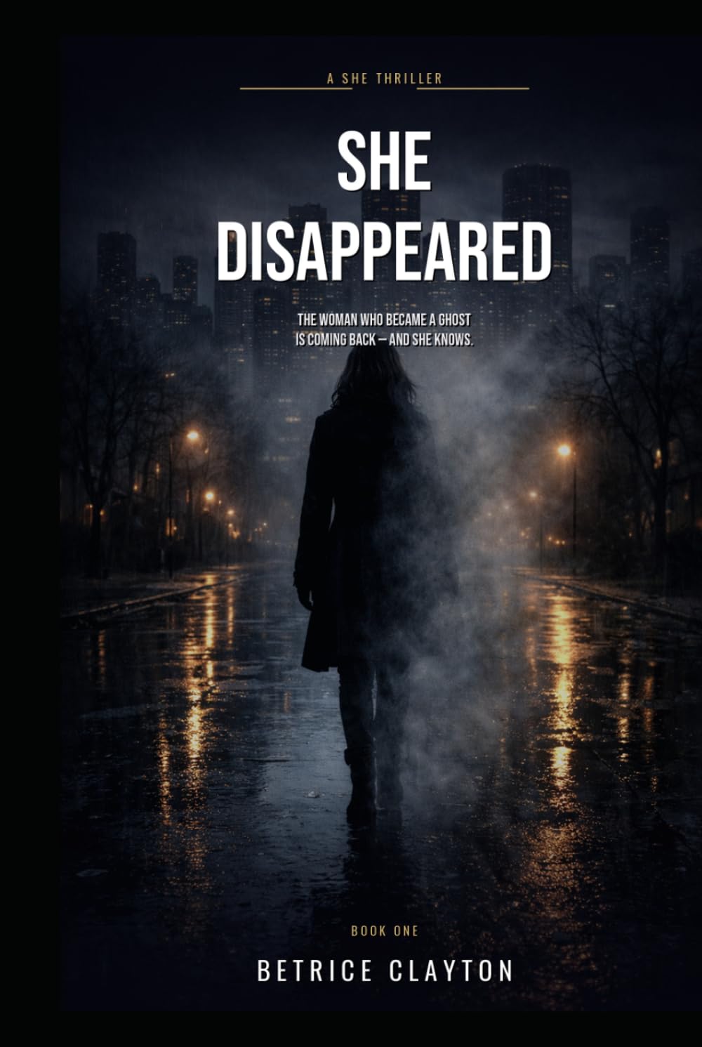 She Disappeared: A Dark Psychological Thriller About a Woman on the Run (A SHE THRILLER Series)