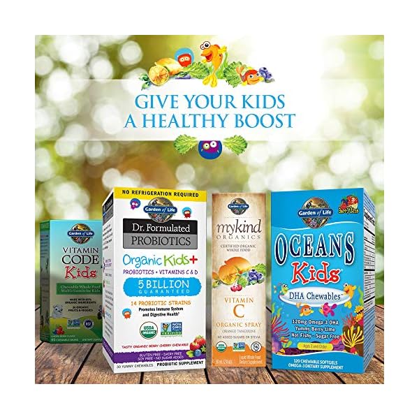 Garden of Life Vegetarian Multivitamin Supplement for Kids, Vitamin Code Kids Chewable Raw Whole Food Vitamin with Probiotics, 60 Chewable Bears