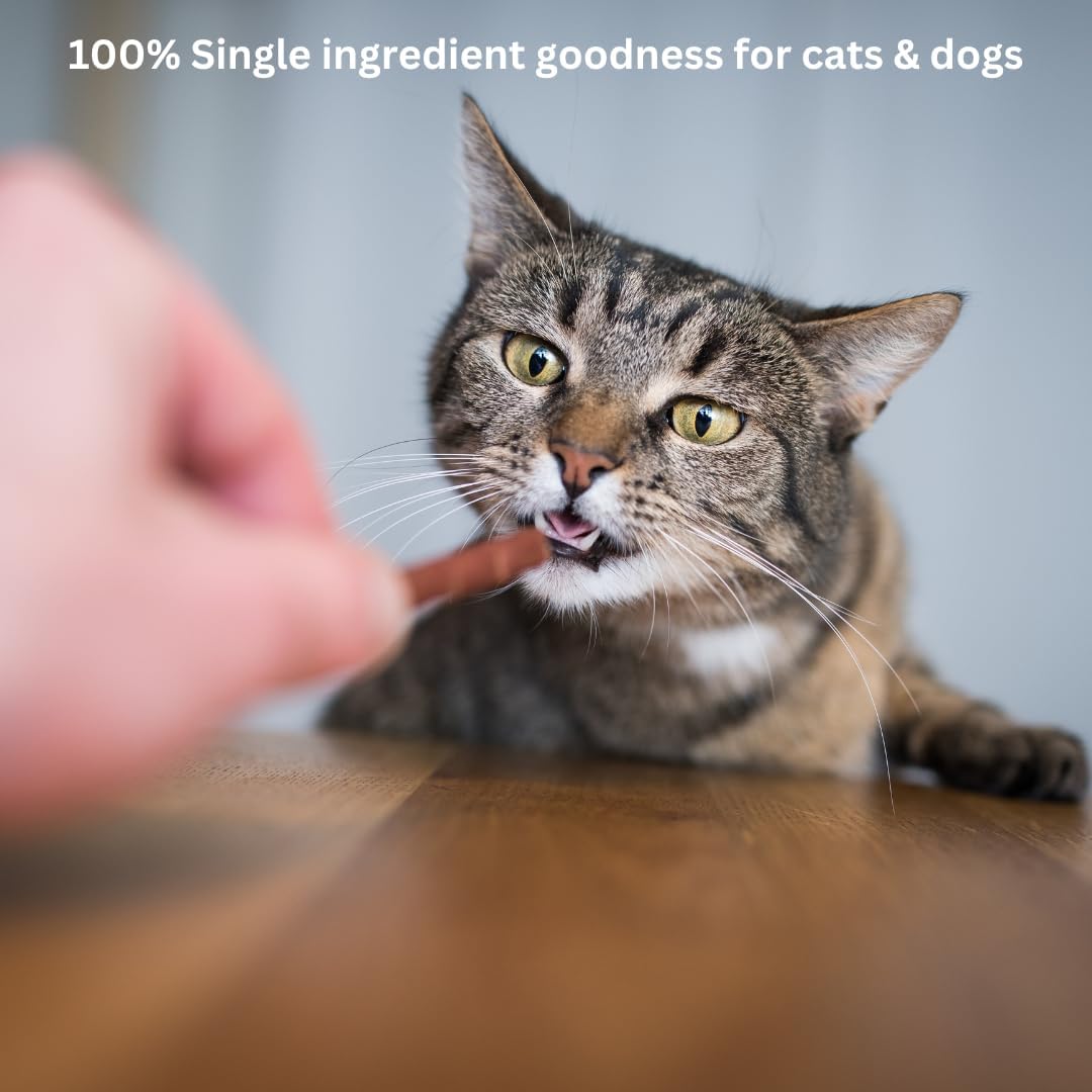 Pezzy Pets Devil Fish Strips Dog & Cat Treats | Single Ingredient | Wild Caught | Sustainable, Made from Invasive Fish| Grain Free | High Protein + Low Fat | Hypoallergenic (2 Pack)