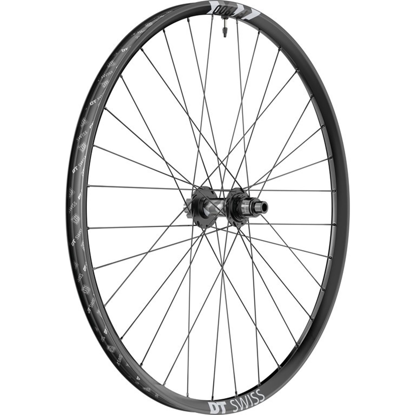 Amazon.com : DT Swiss F 1900 Classic Rear Wheel - 29