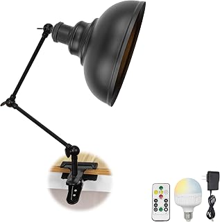 LED Clip Light Pole Mount Rechargeable Remote Control Desk Light, Cordless No Electricity Needed, No Wiring Required, Arm: 18cm 3.5W RGBW Bulb Included, Dimmable, Arm Light, Entrance Light,