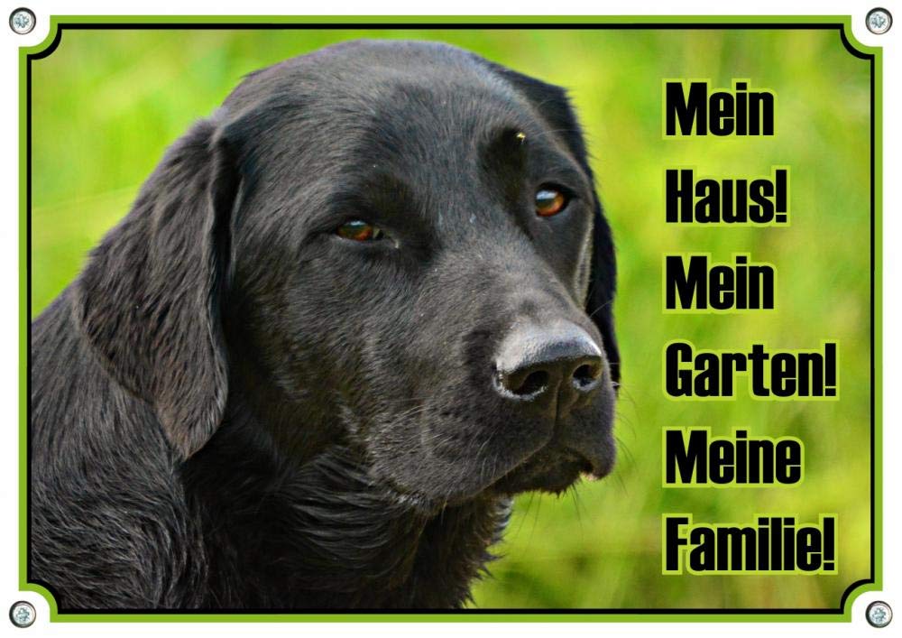 Hundeschild Labrador Retriever schwarz - uv-beständiges Metallschild in Fotodruck, DIN A3
