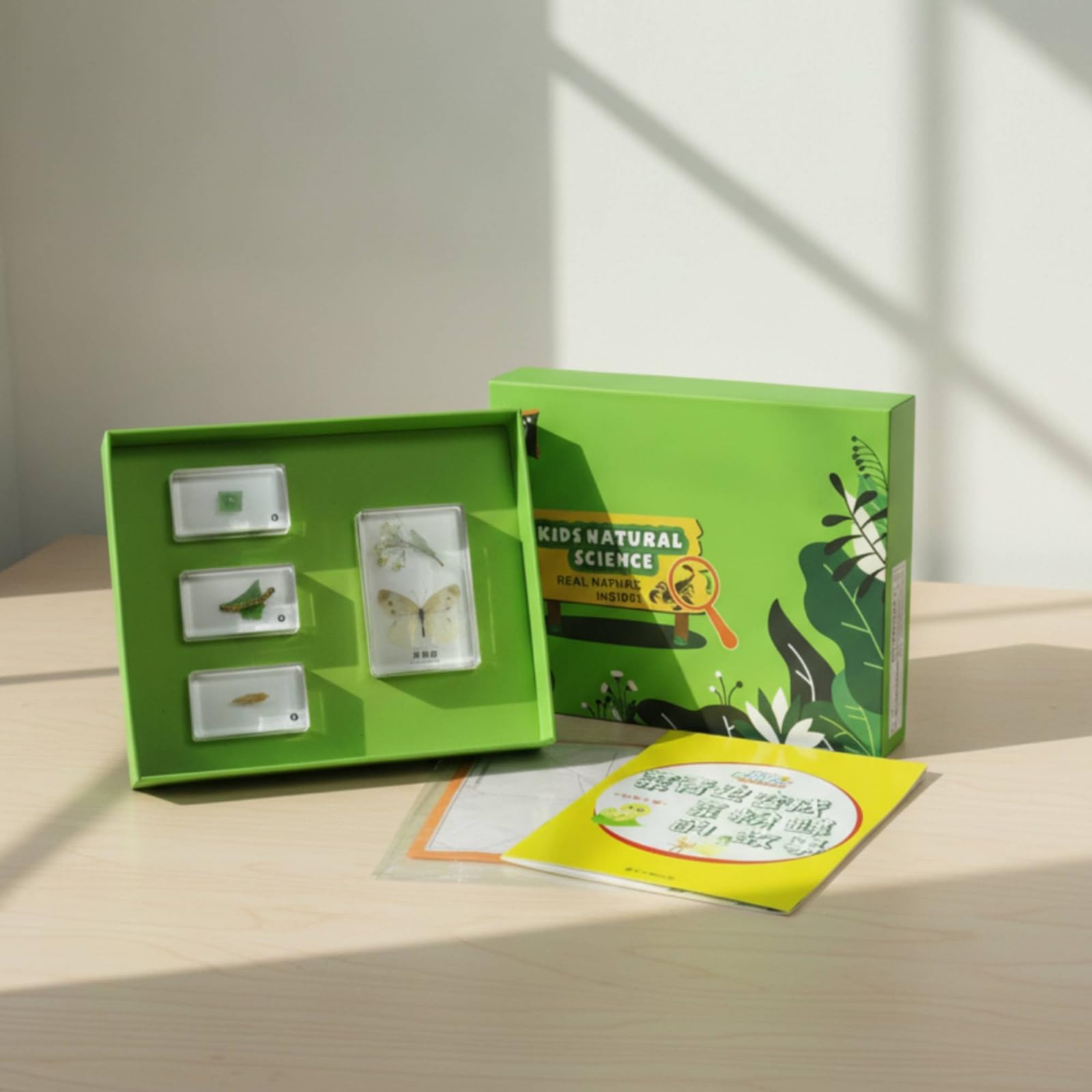 harayaa Especimen Educativo Infantil Kit Científico Set Colección Resina con Fichas Aprendizaje y Hojas Caja con Bandeja Verde, Historia De Crecimiento Del Pequeño Cangrejo