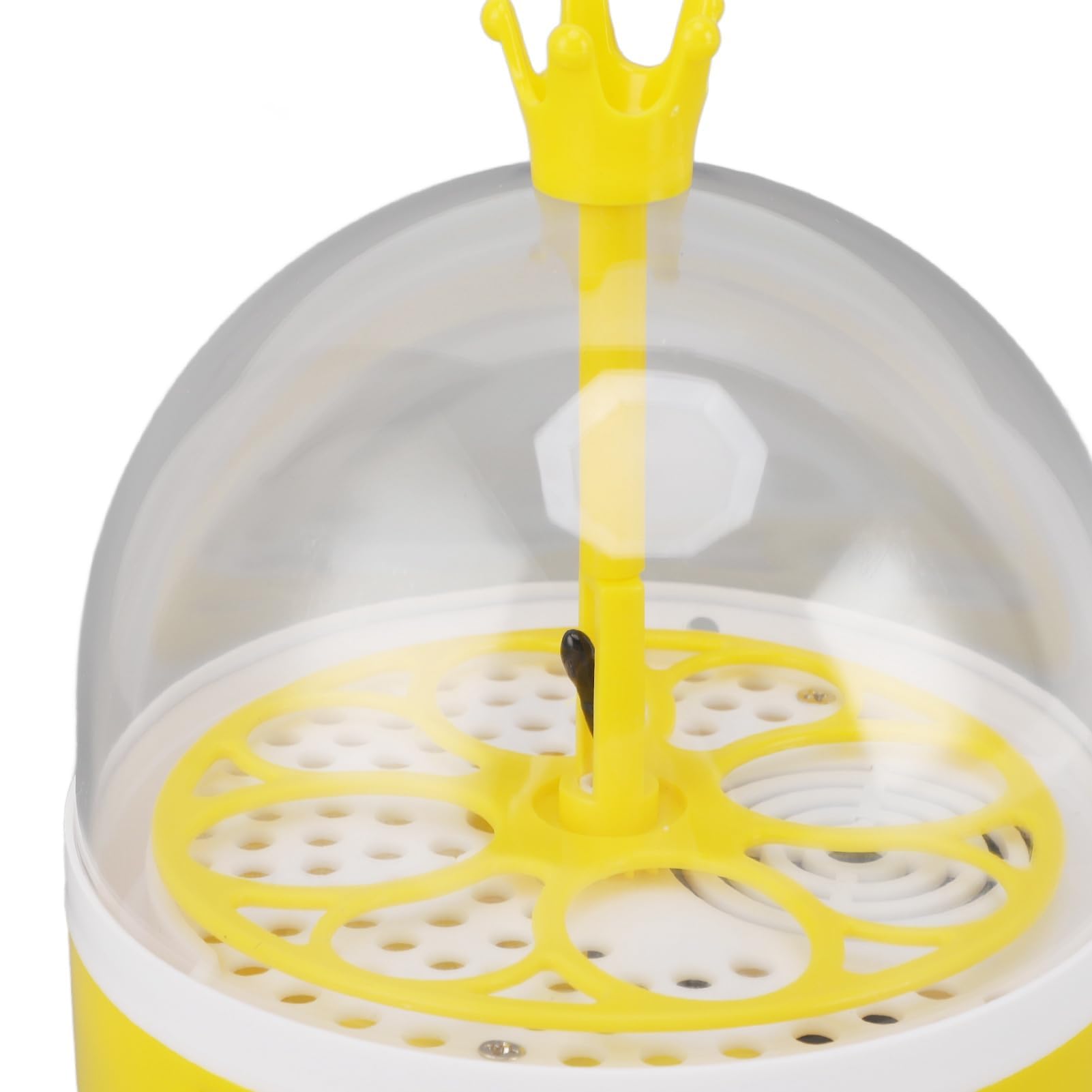 Mini incubatrice per uova con controllo automatico della temperatura, Coperchio Trasparente, Cova Multifunzionale, Alta Efficienza, Bassa rumorosità, Compatta e