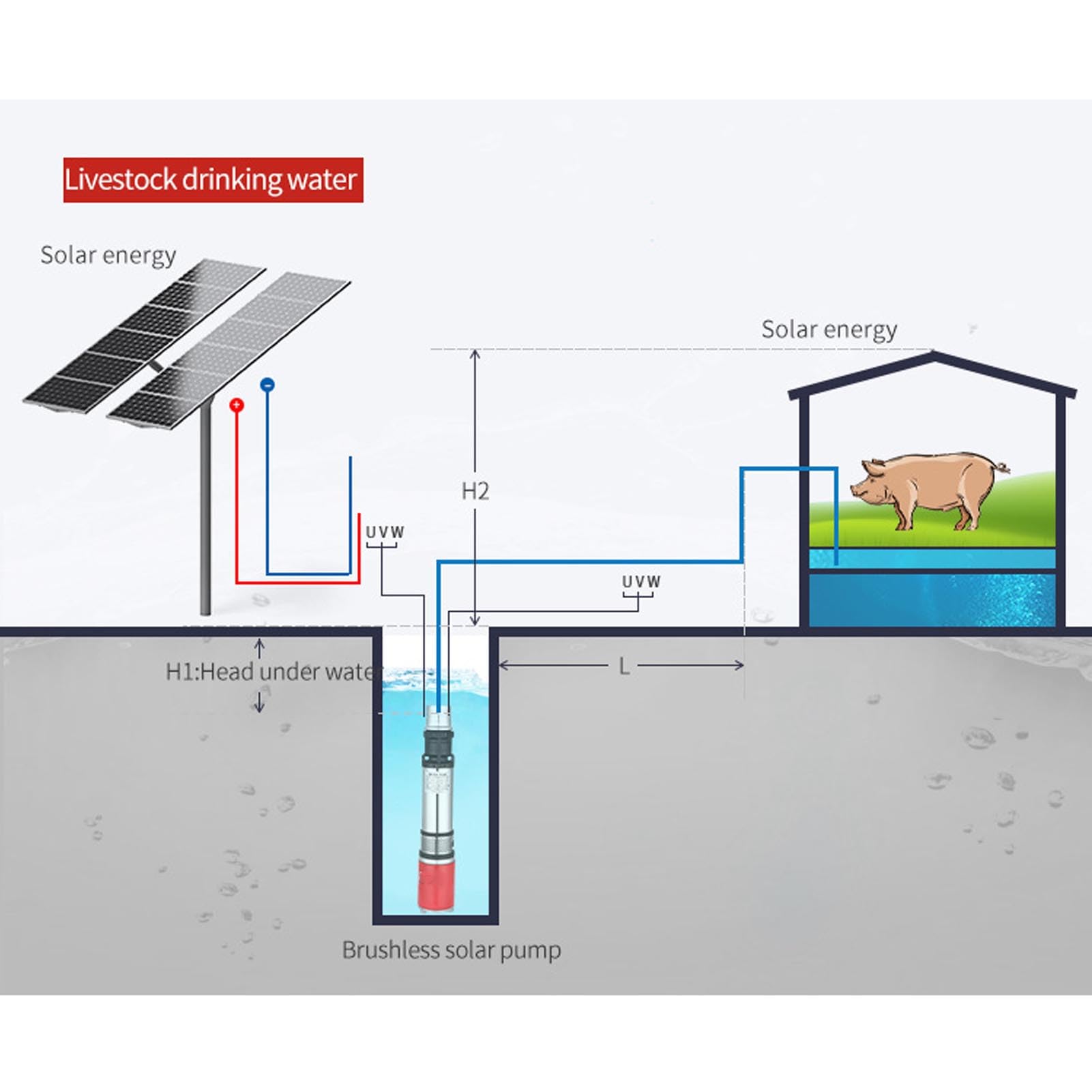 Eujgoov Pompa a Vite in Acciaio Inossidabile 220 W per Irrigazione Pompa Sommersibile Pozzo Profonda con Cavo di Alimentazione 10 Metri