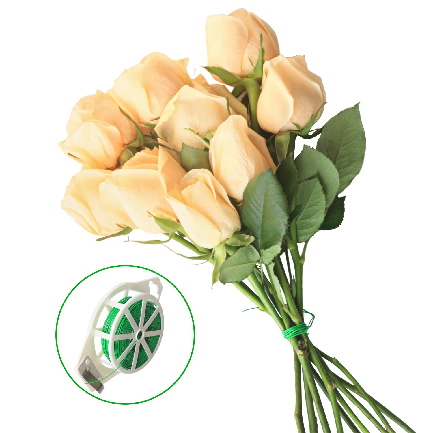 YunSchauen Fil De Liaison Pour Plantes - 100 M - Fil De Liaison