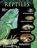 Creative Teaching Press Reptiles Animal Classification Chart (1167)