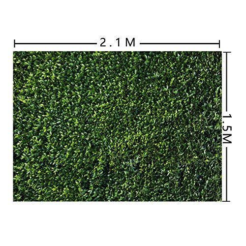 Fanghui 7X5Ft Natural Green Leaves Grass Backdrop For Photography Spring Summer Newborn Baby Shower Wedding Birthday Party Banner Supplies Outdoorsy Theme Photo Studio Booth Props #TOP4