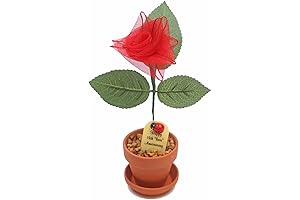 Lace-Ribbon Desk Rose Flower - Celebrate Your 13th Wedding Anniversary