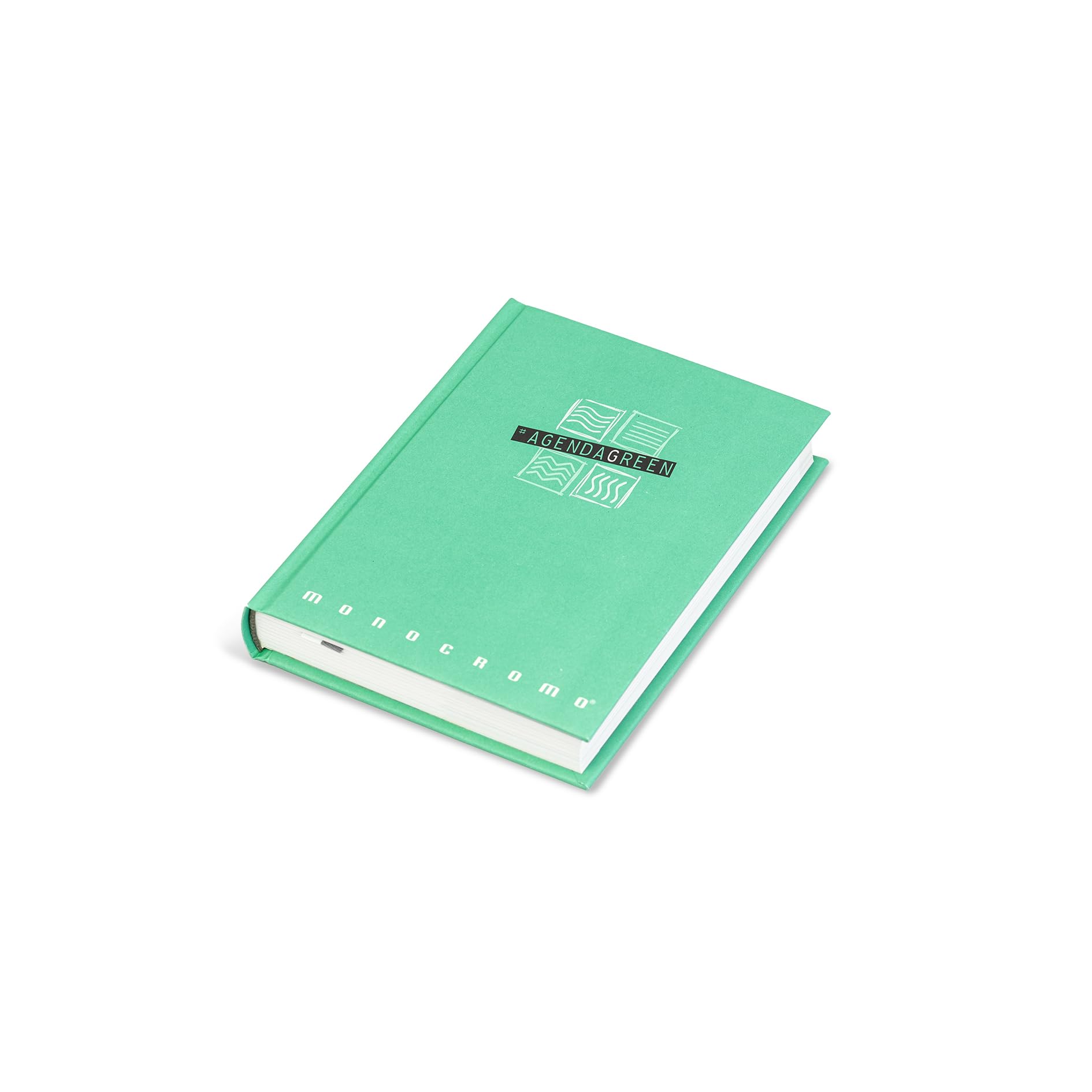 Pigna Diary 12 months plain green page 448
