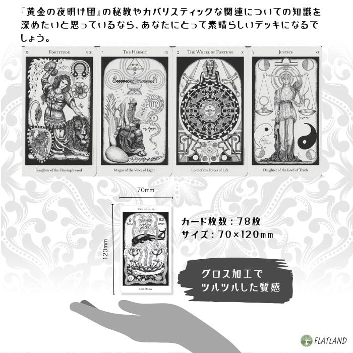 Amazon.co.jp: Hermetic Tarot Deck Tarot Divination with Japanese