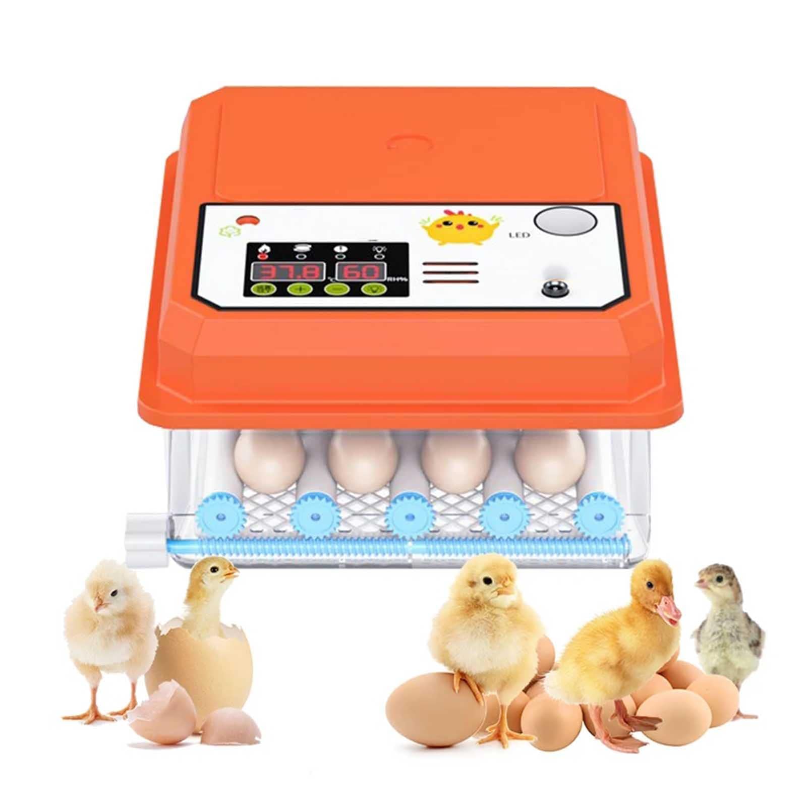 Incubadora de 9 huevos, Nacedora automática digital, Nacedora de pollos, aves de corral, Nacedora de huevos con control automático de temperatura, para pollo, pájaro, codorniz, pato