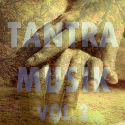 Tantra musik, vol. 3 von Tantra Musik bei Amazon Music Amazon.de