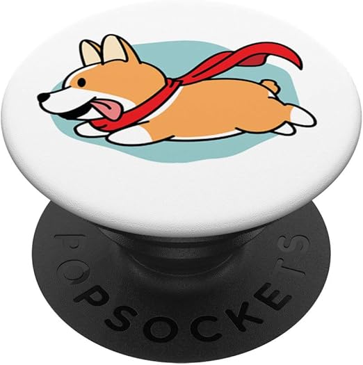 corgi accessories