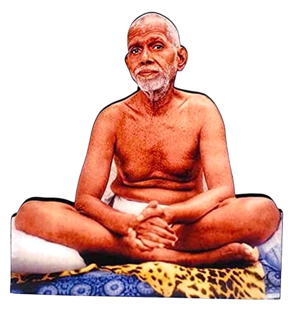 Vils [Big Size] Tiruvannamalai Bhagavan Sri Ramana Maharshi Divine Holy Blessing Wood & Plastic Photo Frame Cutout for Pooja/Gift (7.5 X 8 inch)- Multicolor