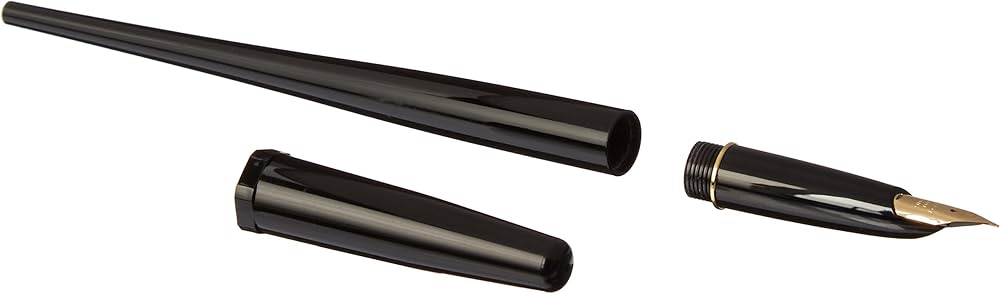 Amazon | パイロット 万年筆 デスクペン P-DPN-70B-EF 黒軸 | 万年筆